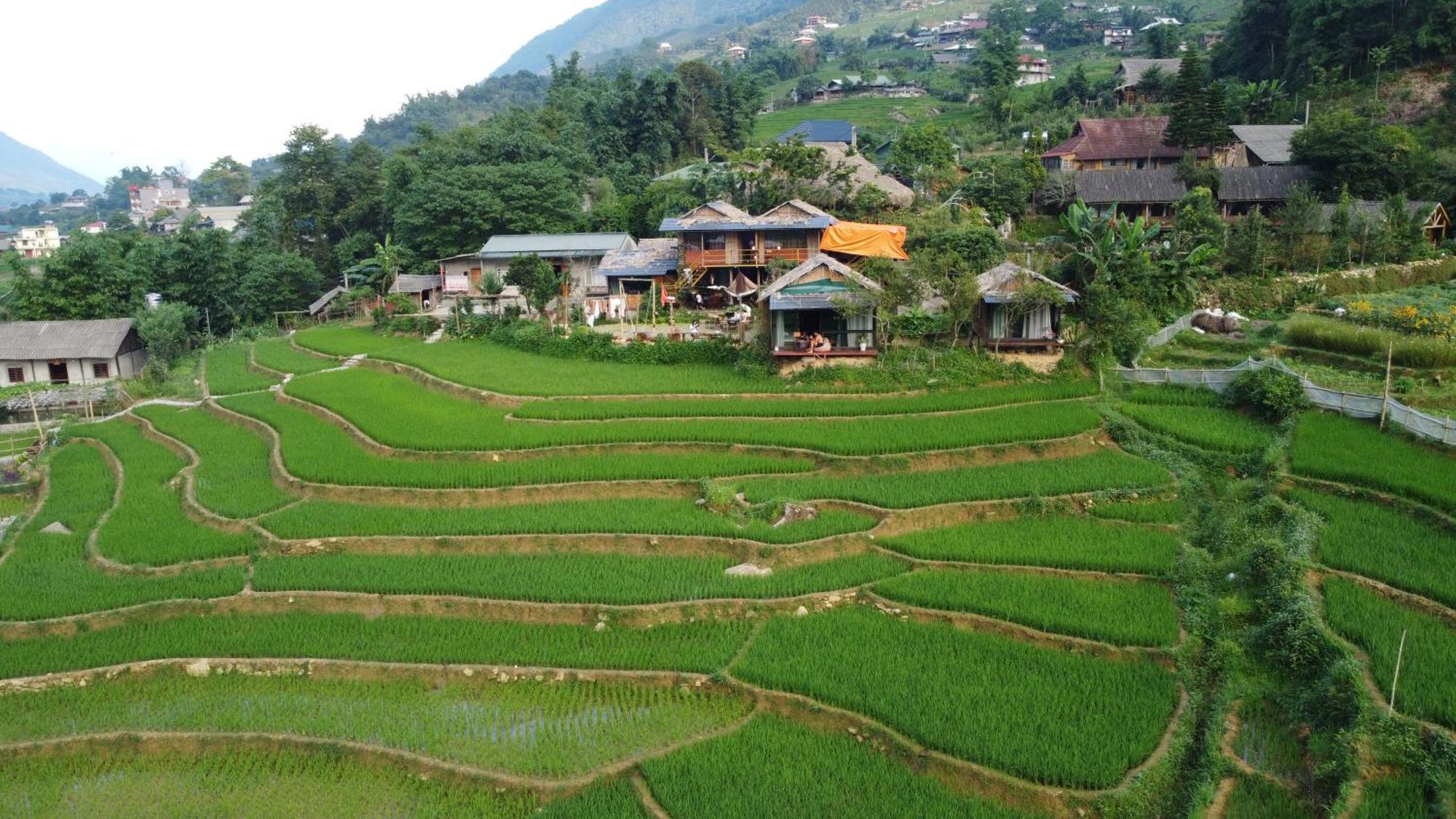 Goong House Konuk evi Sapa Dış mekan fotoğraf