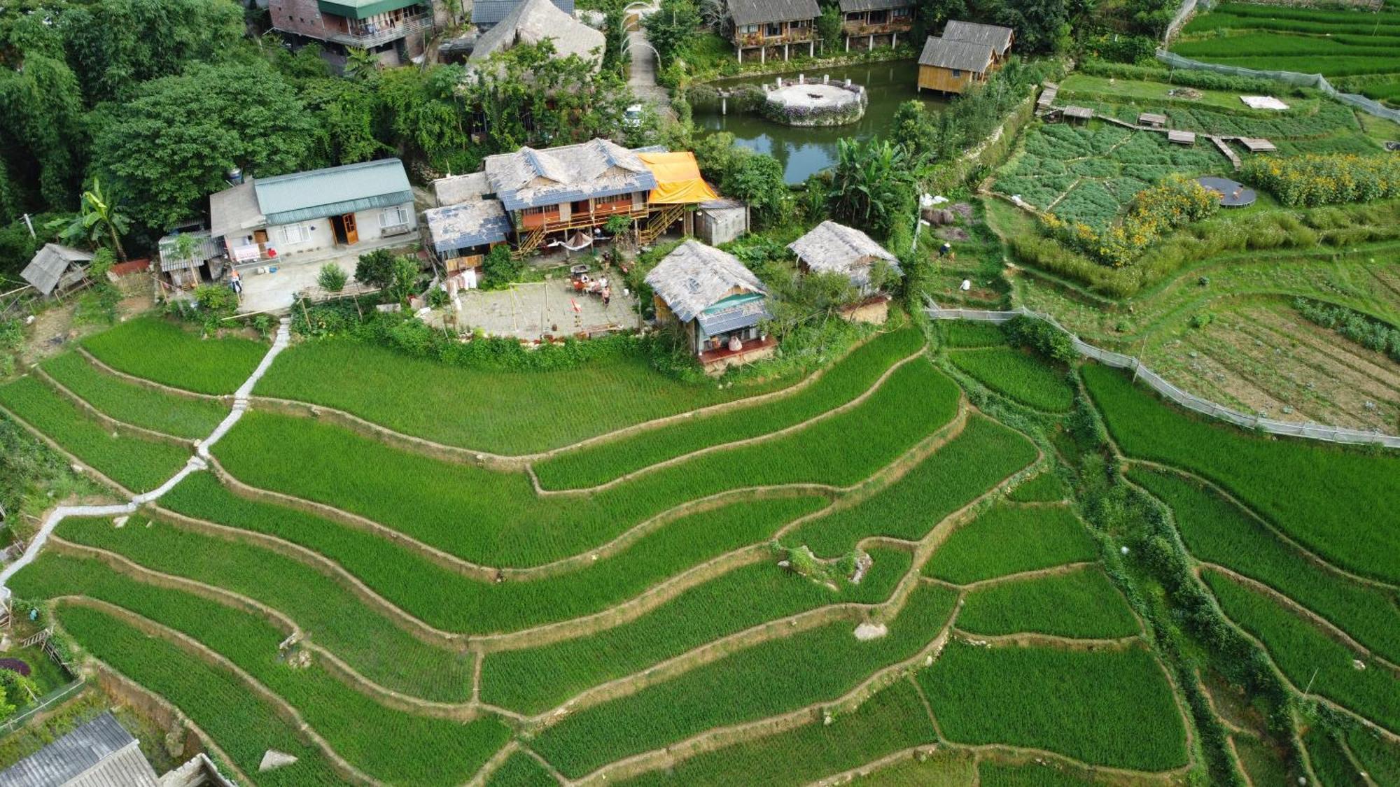 Goong House Konuk evi Sapa Dış mekan fotoğraf